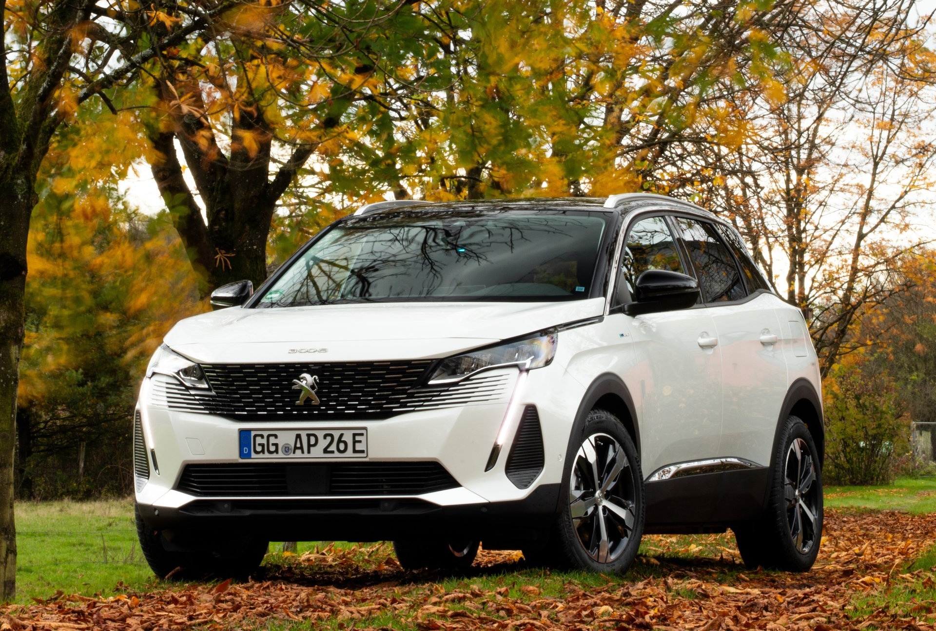 2016–2024 Peugeot 3008