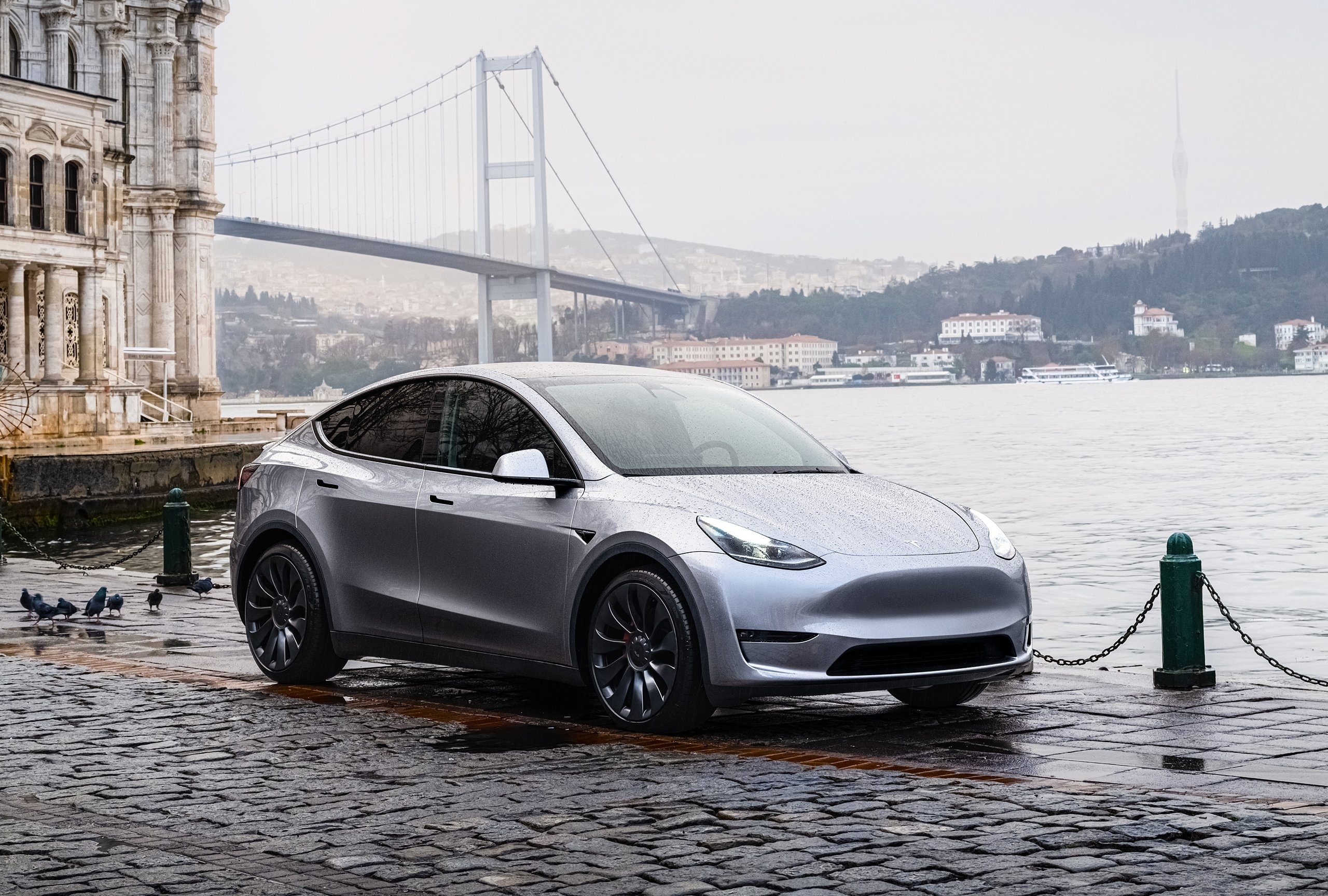 2019–2026 Tesla Model Y